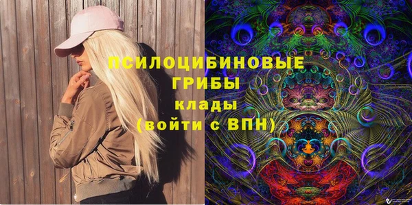 mdpv Дмитров
