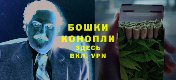 сатива Дмитровск
