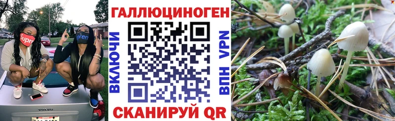 Псилоцибиновые грибы Cubensis  Купить закладки  Светлоград 