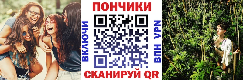 Конопля марихуана  Купить закладки  Светлоград 